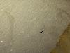 13817_d2aaa496ebb299108a901d8185c69d41