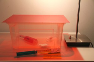 "Minimal-Arena" mit Reagenzglas-Wasserspender
