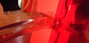 Tunnelverschluss vor dem Nest