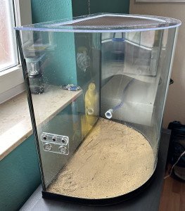 IMG_2450.jpg