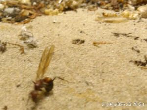 IMG_20250421_232823.jpg