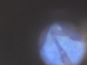 20260110_223957.jpg