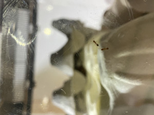 IMG_5855.jpeg