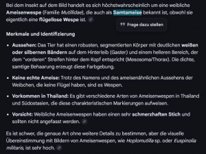 KI 1.JPG
