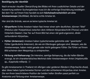 KI 2.JPG