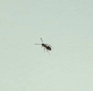 IMG_8453.jpeg